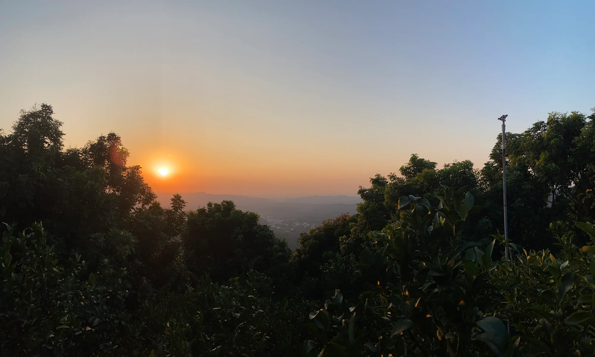 從果園望出去的東山夕陽